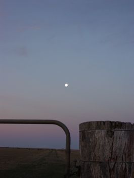 Brandon Pastoral Company Logo